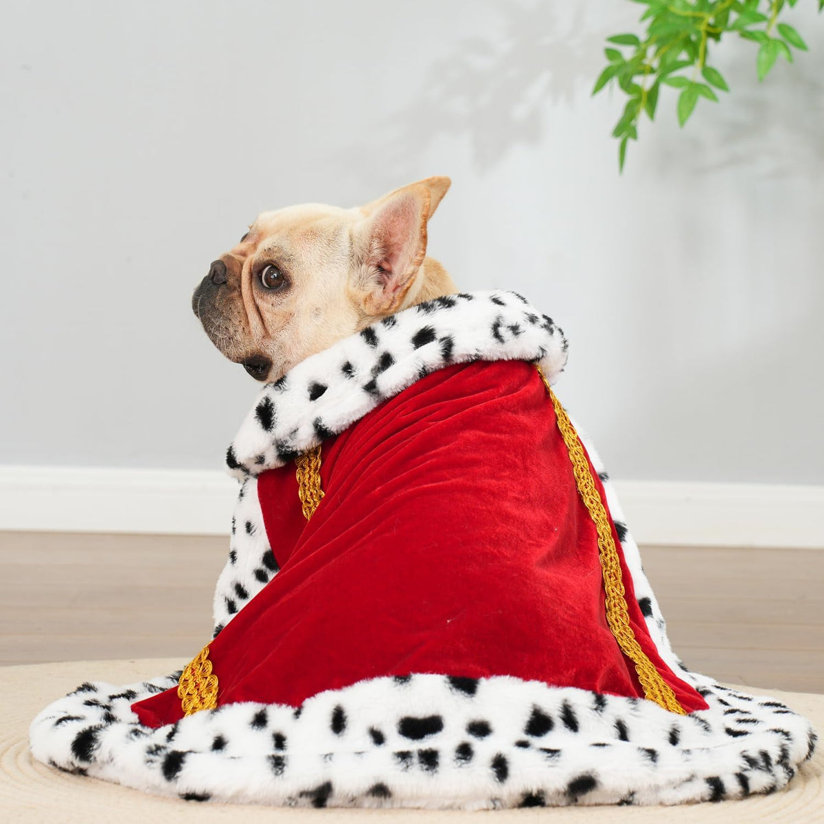 Royal Velvet Pet Cloak with Fur Trim for Cats & Dogs, Red-M/Oversize