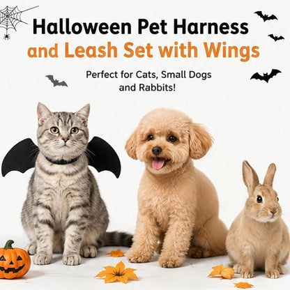 Halloween Bat Wing Pet Harness & Leash Set with Pumpkin Bell, S