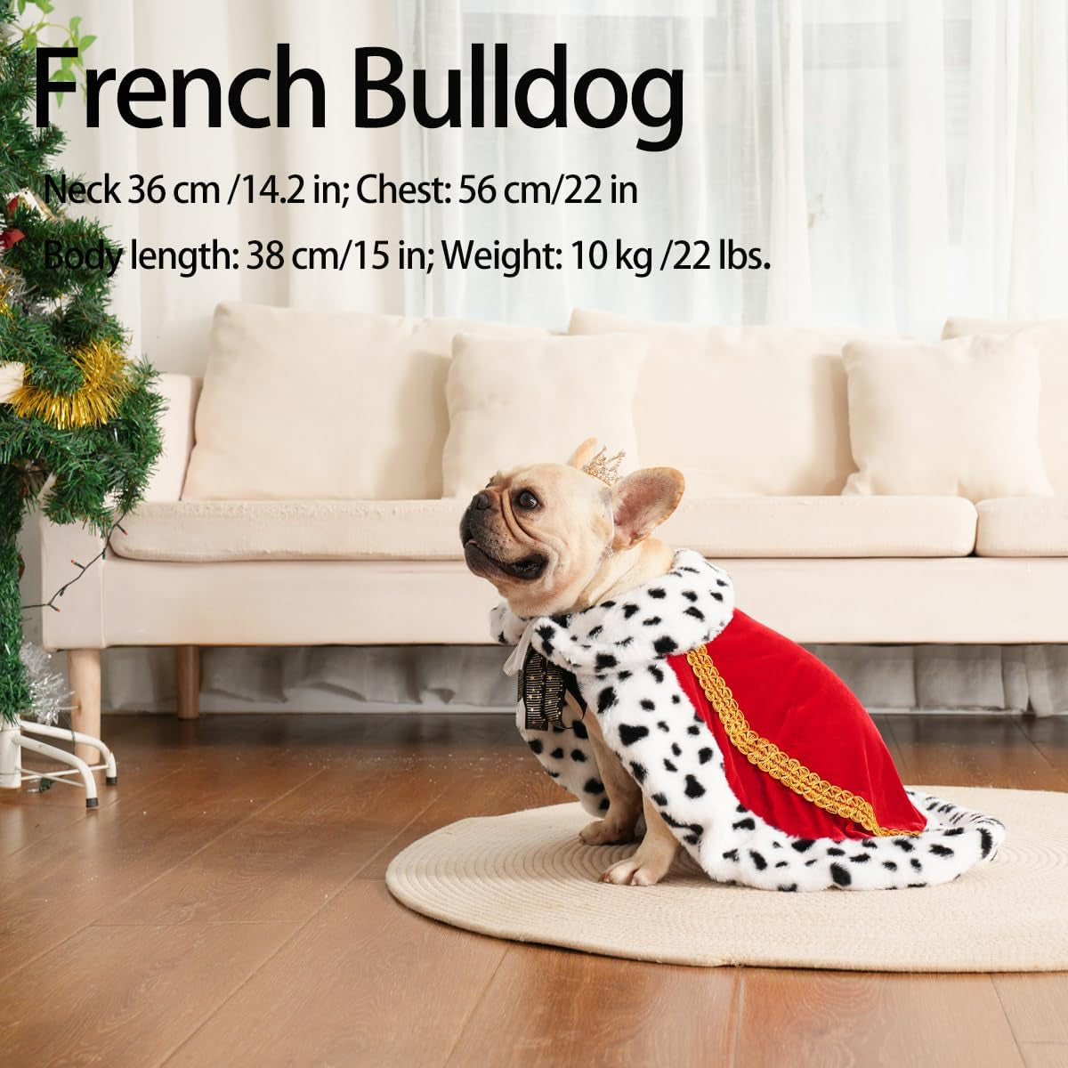 Royal Velvet Pet Cloak with Fur Trim for Cats & Dogs, Red-M/Oversize